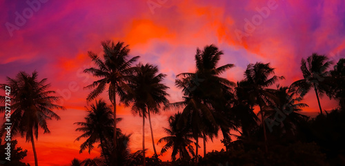 Fototapeta Naklejka Na Ścianę i Meble -  Evening scene view of palm trees at sunset. Silhouette palm tree at tropical beach background