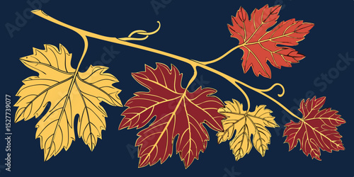   Set of different color's autumn vine  leaves isolated on navy blue background vector illustration