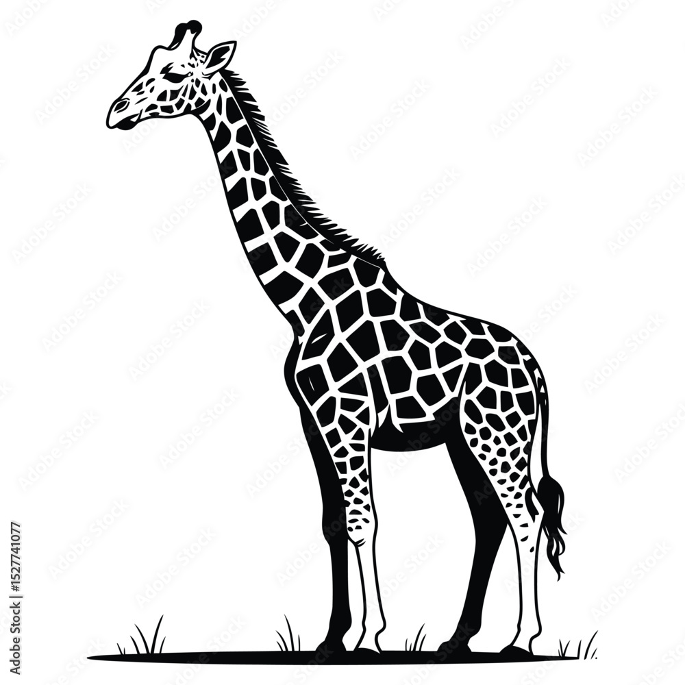 Fototapeta premium giraffe vector illustration