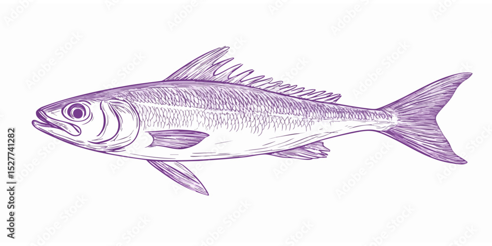 Obraz premium Detailed line drawing of a fish (4)