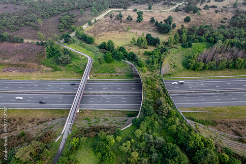 Forest aerial wildlife crossing forming a safe natural corridor bridge for animals to migrate between conservancy areas. Environment nature reserve infrastructure engineering eco passage from above