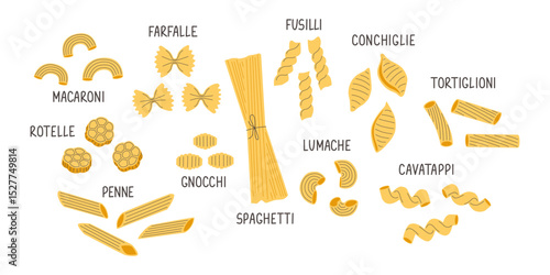 Set of Italian pasta. Food flat illustration. Lettering fusilli, rotelle, conchiglie, gnocchi, farfalle, penne, macaroni, lumache, cavatappi, tortiglioni, spaghetti. Vector elements for logo, menu.