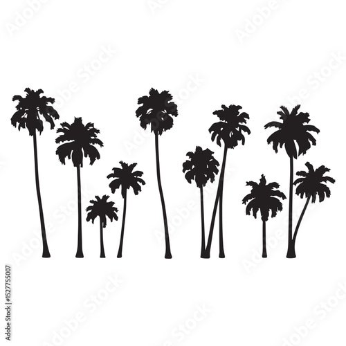 Set of black palm tree silhouettes isolated on white background. Vector illustration.
