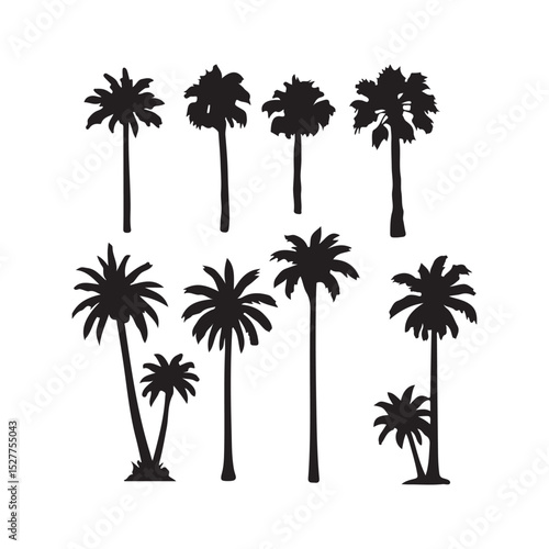 Set of black palm tree silhouettes isolated on white background. Vector illustration.