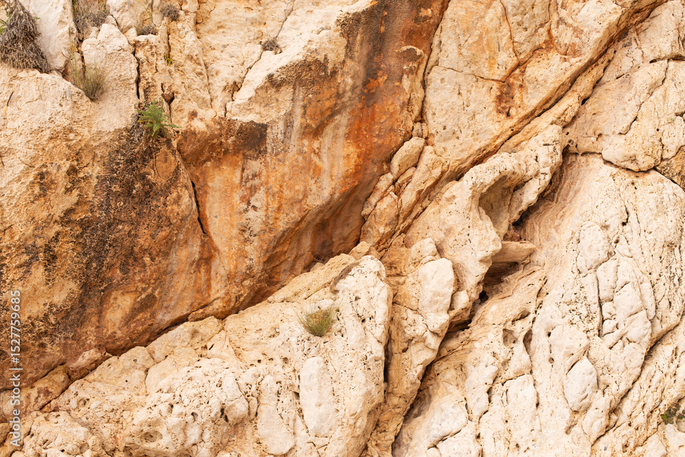 Fototapeta premium Rough rock face with small plants. Mountain natural background.