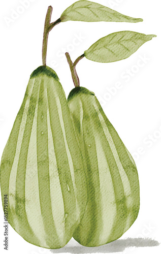 Adobe Illustrator Artwork