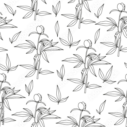 Peony branch with leaves. Coloring page for adults and children.