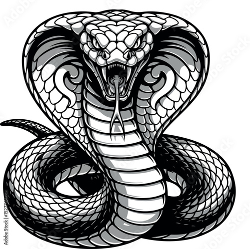 Striking Cobra Illustration - Black And White Venomous Snake Vector Art for Designs