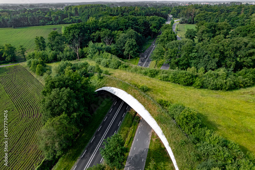 Environment nature reserve infrastructure eco passage in Dutch landscape. Road traversed by wildlife crossing forming a safe natural corridor bridge for animals to migrate between conservancy areas. 