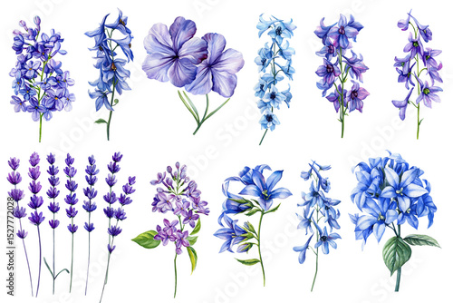 Set of beautiful watercolor flowers on isolated background. Blue delphinium flowers, purple lavender, lilac. Summer floral clipart