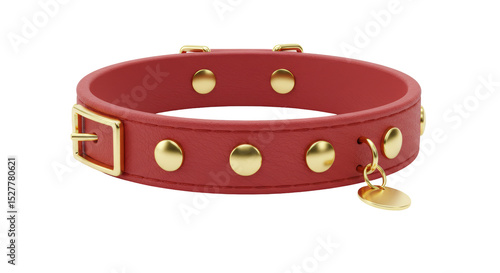 Konstfotografi Isolated Dog Collar