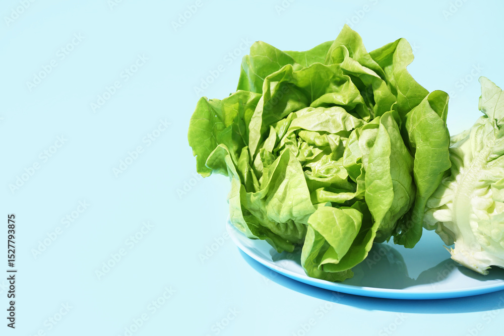 Plate with fresh Boston lettuce on blue background Plate with fresh Boston lettuce on blue background