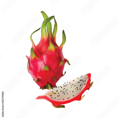 Dragon fruit, Pitaya illustration on whtie background vol 01