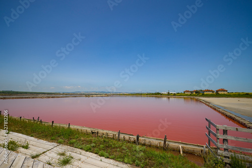 Wallpaper Mural landscape from Lake Atanasovsko Salt located near Burgas in Bulgaria Famous for its pink color, Desalination lake now used for treatments Torontodigital.ca
