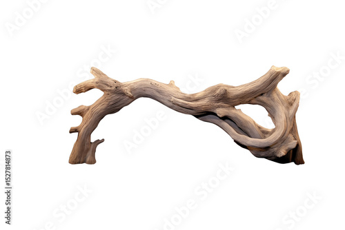 A curved piece of driftwood, light brown, isolated on a transparent background. background removed