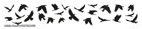 Horizontal border with flock of black crows for Halloween decorations