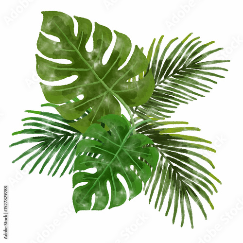 Watercolor Illustration of Tropical Monstera and Palm Leaves on White Background