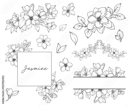 Collection of  Jasmine flowers and decorative frames, hand drawn botanical line drawing, vector floral line art illustration for wedding, logo, advertising, packaging