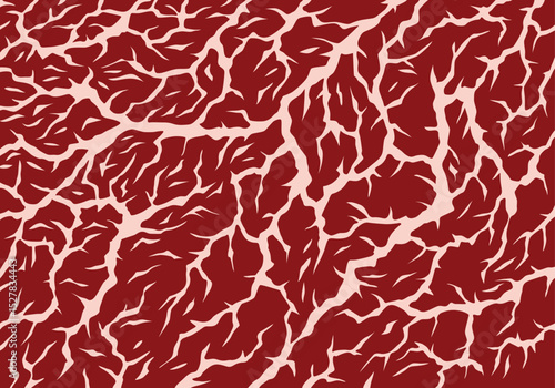Meat marbled texture. Raw red fresh meat slice for cooking, aged steak pattern. Macro of premium cow meat background with structure and streaks. Flat cartoon vector illustration