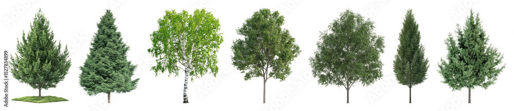PNG Diverse trees beautifully aligned, element set on transparent background PNG Diverse trees beautifully aligned, element set on transparent background