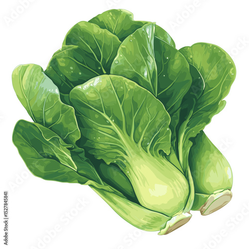 Baby Bok Choy – Fresh and Crisp Asian Vegetables