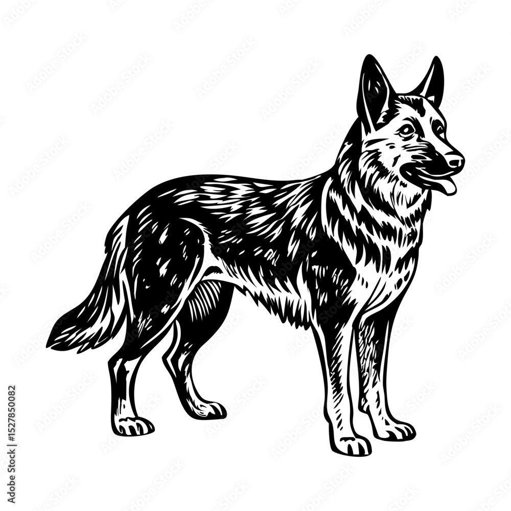 A sketchy style illustration of german shepherd A sketchy style illustration of german shepherd