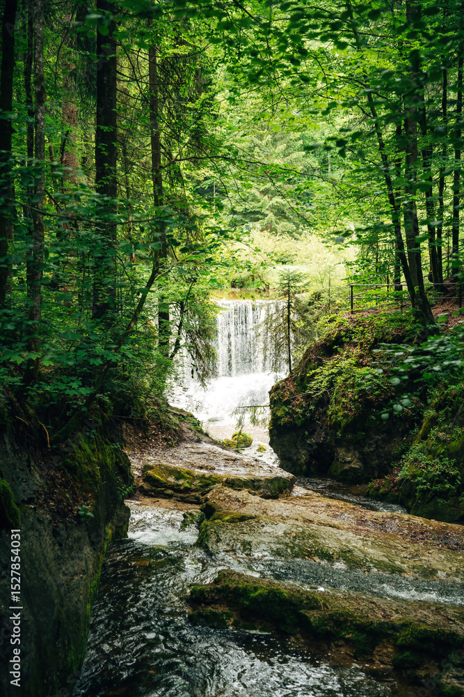 Obraz premium Waterfall in the Forest