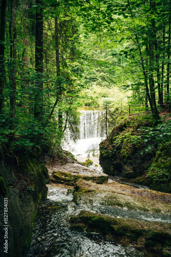 Waterfall in the Forest