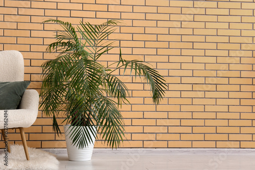 Armchair with palm plant ne...