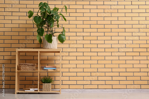 Shelf unit with books and M...