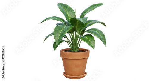 Εκτύπωση καμβά Isolated Potted Plant