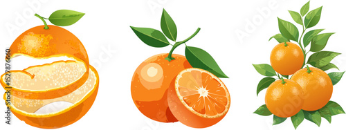 Vibrant oranges with leaves and a sliced fruit against a bright backdrop, ready to eat. The illustration highlights freshness and natural healthy food options