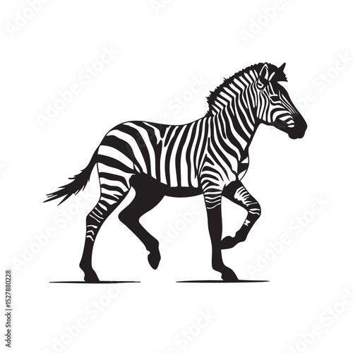 Striking Zebra Illustration Black and White Stripes, Elegant Animal Design