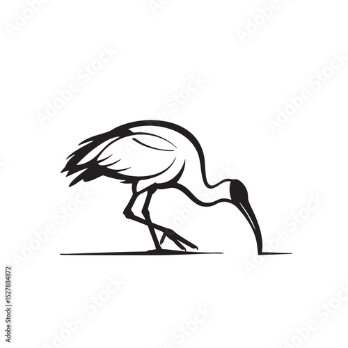 Elegant Ibis Bird Illustration Black and White Line Art Design