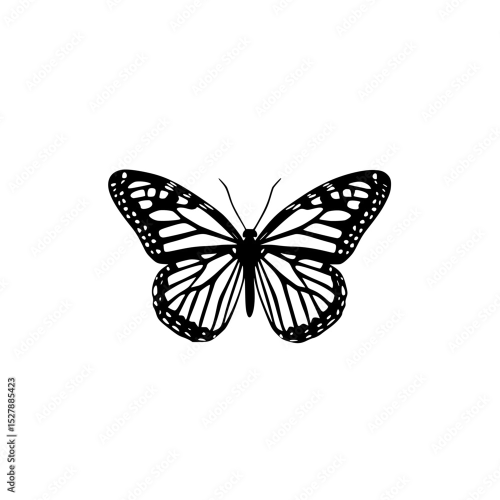 Obraz premium a black and white butterfly on a white background black, butterfly, wing , Generative art.