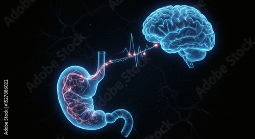 Gut Feeling BrainStomach Connection with Neural Pathway, and Futuristic Science.