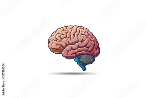 A detailed human brain graphic perfect for medical websites, educational materials, or brain health branding projects, offering a scalable design for various applications.