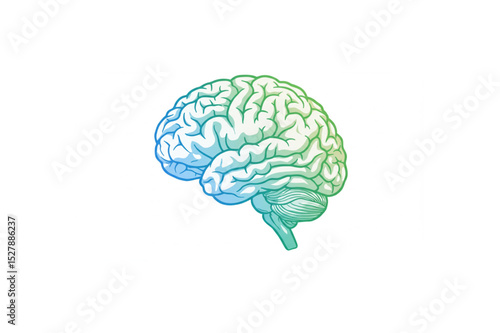A detailed brain graphic design ideal for medical branding projects needing a scalable logo or icon for neurology clinics or educational materials.