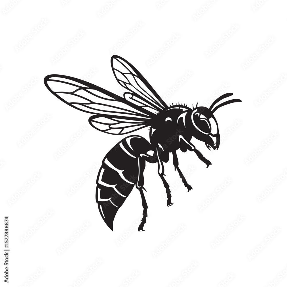 Striking Black and White Wasp Illustration A Detailed Vector Graphic Striking Black and White Wasp Illustration A Detailed Vector Graphic