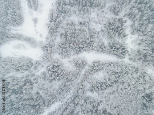 Принти на полотні An aerial view showcases a vast expanse of snow covered trees in a winter forest