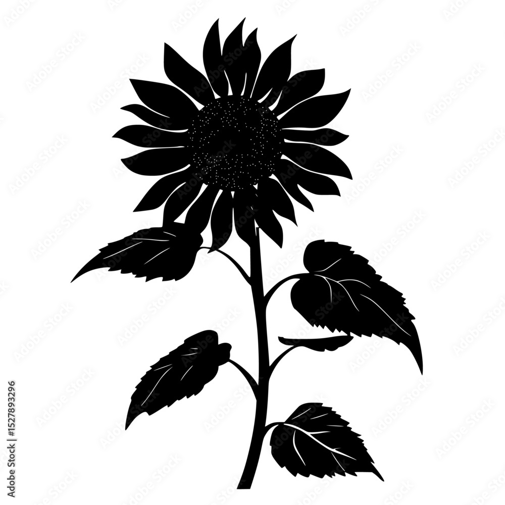 Fototapeta premium a black and white silhouette of a sunflower black, flower, silhouette, sunflower, white , Generative art.