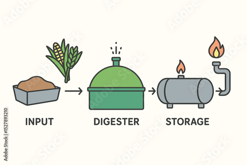 Biogas production process diagram. Renewable green energy concept illustration. Infographic of methane generation from biomass via anaerobic digestion in a digester and storage.
