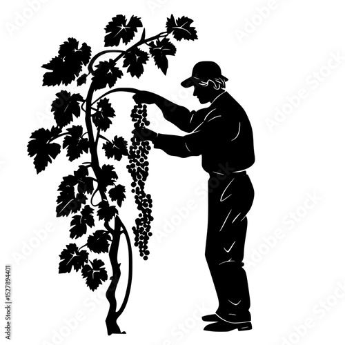 a black silhouette of a man picking grapes from a vine black, branch, cut, farmer, grape, man, pick, silhouette, vine, vineyard , Generative art.