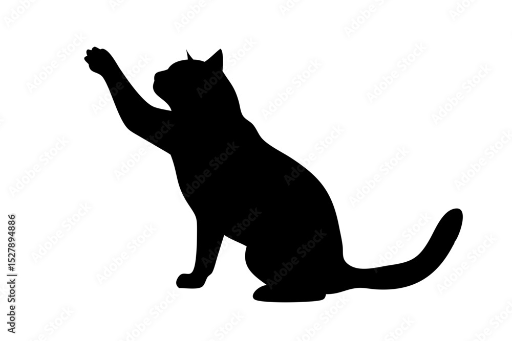 Obraz premium British Shorthair cat stretching paw up black silhouette