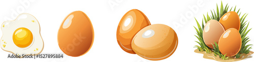 A collection of eggs in different forms, with a fried egg and eggs of different colors. This image showcases various forms and types of eggs.