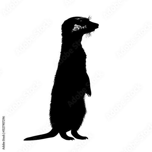 a black and white image of a meerkat standing on its hind legs black, image, leg, silhouette, stand