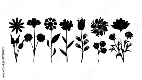 Flower and botanical icon set – vector glyph pictograms