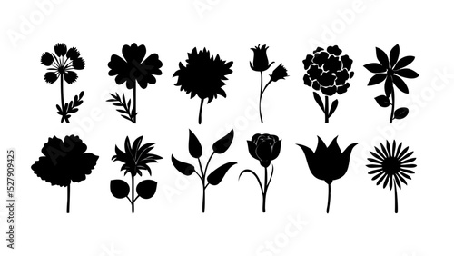 Flower botanical icon set – vector glyph pictograms
