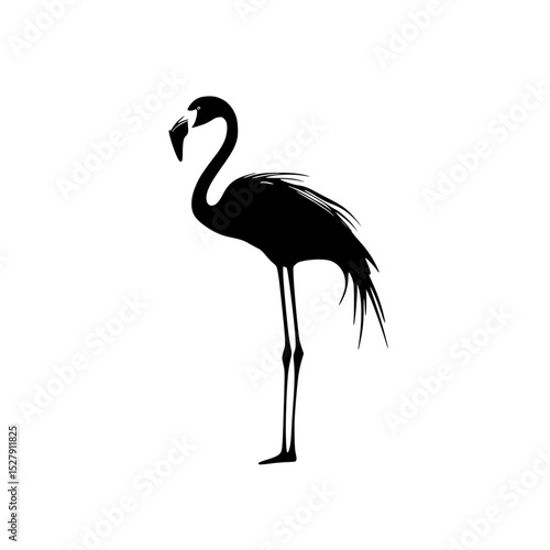a silhouette of a pink flamingo standing on its hind legs black, flamingo, illustration, leg, pink, silhouette, stand