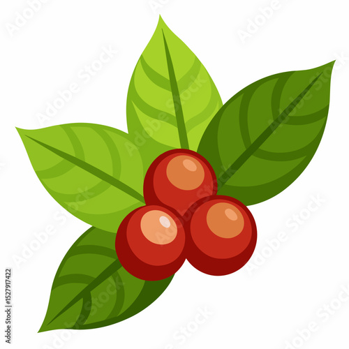 Fresh coffee beans on branch with green leaves